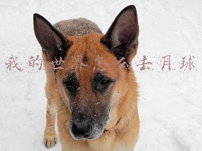 我的世界怎么去月球