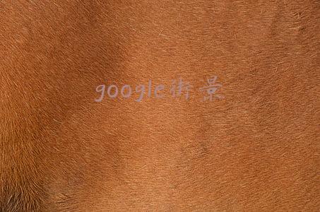 google街景下载(USGS Earth Explorer：下载免费的 Landsat 图像)