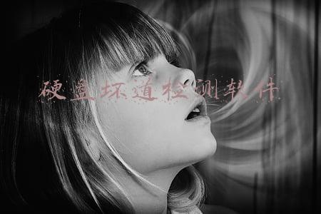 硬盘坏道检测软件 dos(机械硬盘坏道如何检测与修复？看完这篇你就知道了)