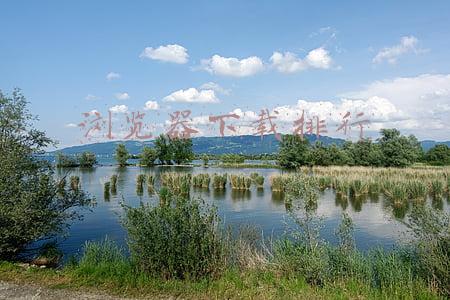 浏览器大全下载(2345、好123…霸占你的浏览器主页，还改不掉？监管出手了)