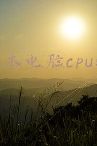 笔记本电脑cpu排行榜2021(2021年8月CPU天梯图)