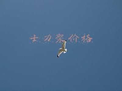 士力架价格