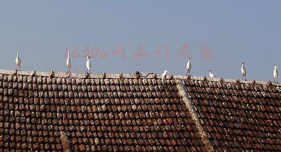 12306网上订票查询