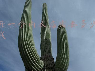 小型内衣店投资需要多少钱-开内衣店的投资费用包括哪些？