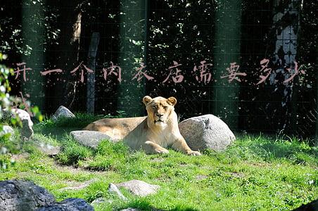 开内衣店如何算成本_开一家内衣店成本