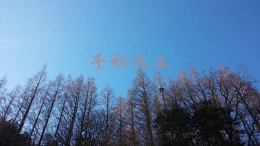 手动杀毒