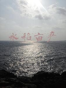 水稻亩产量一般能达到多少(亩产1326.77公斤！我国水稻种植单产再创世界新纪录)