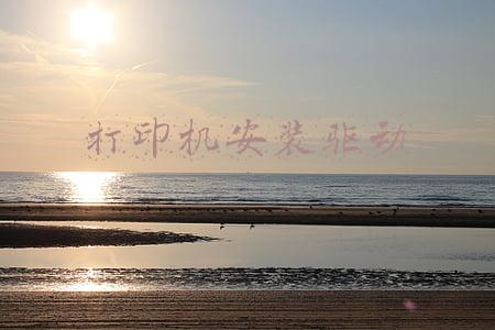 打印机安装驱动
