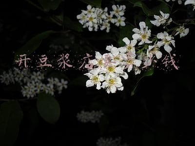 开豆浆店需要哪些设备;现磨豆浆店需要哪些设备?