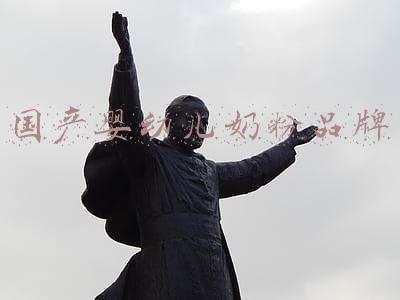 国产婴幼儿奶粉品牌