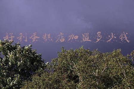 加盟好利蛋糕店要多少加盟费(开个蛋糕店需要多少钱?加盟那个靠谱?)