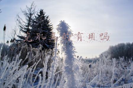 瓷肌真的有用吗
