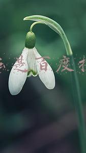 什么是百度指数,有什么功能(什么是百度/头条/微信指数？有何作用？)