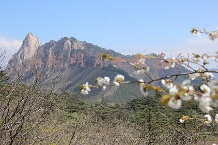 秦时明月十大名剑