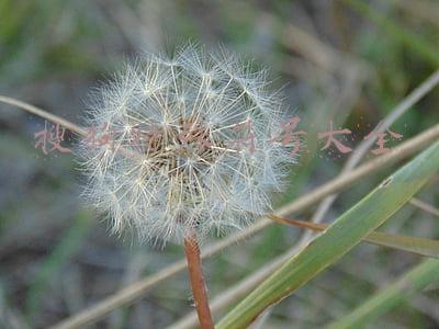 搜狗特殊符号大全