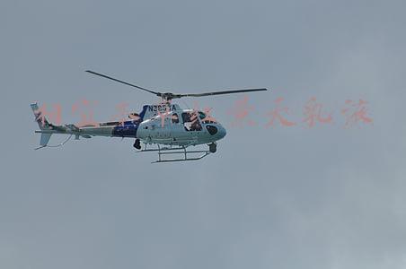 相宜本草红景天乳液