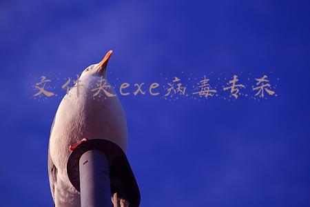 文件夹exe病毒专杀