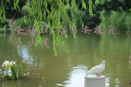 开个蛋糕店需要多少钱？加盟那个靠谱？-开一个diy蛋糕店需要多少钱