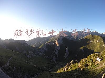 验钞机十大品牌