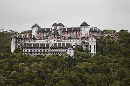 国内一线内衣品牌排行榜(连续三年市场占有率第一！又一国产内衣品牌上市)