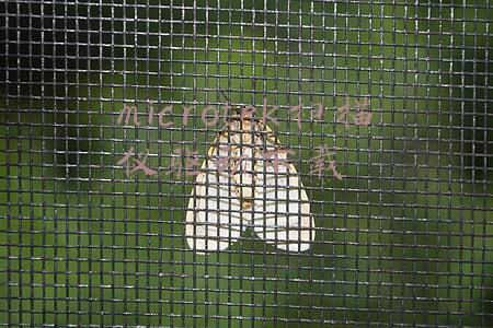 microtek扫描仪是什么牌子(高效办公必不可少 市场热销型扫描仪导购)