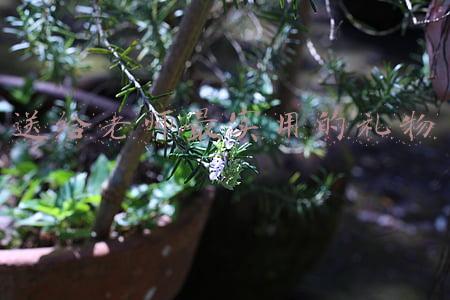 送给老师最实用的礼物