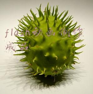 flash动画制作 成品