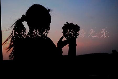 小说软件排行榜免费