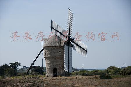 苹果序列号查询官网怎么查询(苹果序列号知识扫盲：iPhone序列号含义与查询真伪全攻略)
