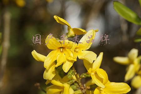 国产手表品牌标志(七大国产热门智能手表对比测评丨科技美学)