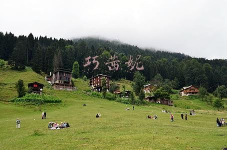巧茜妮