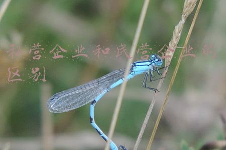 私营企业和民营企业的区别养老保险(养老金和工资都会迎来调整，来看看哪些人能够受益？)