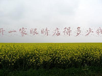 开眼镜店需要什么条件(现在开一家眼镜店需要什么手续和设备？)
