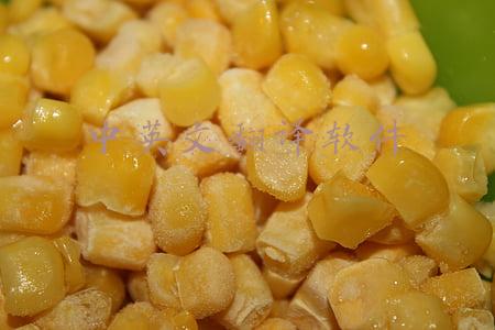 中英文翻译软件下载(拥有这7款英文翻译神器，1天看10篇文献不是梦)