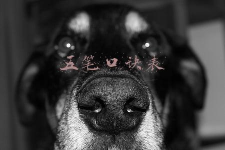 五笔口诀表