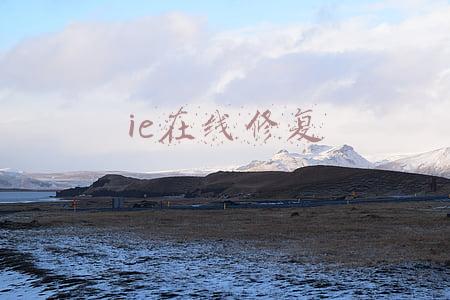 ie在线修复