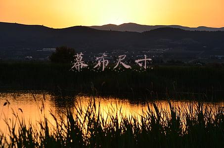 幕布尺寸怎么选择(幕布到底应该多高？兼论客厅式家庭影院)