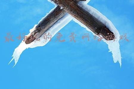 最好玩的免费网络游戏