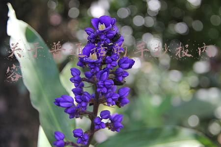 关于普通话的手抄报内容 简短(「昭平一小」普通话诵百年伟业，规范字写时代篇章)