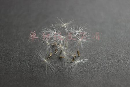 单独设置页眉