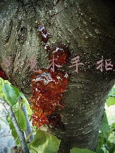 光影魔术手 抠图