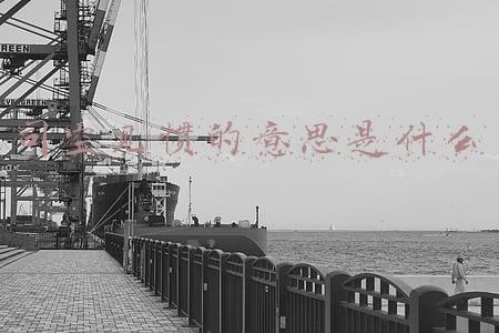 司空见惯的意思是什么
