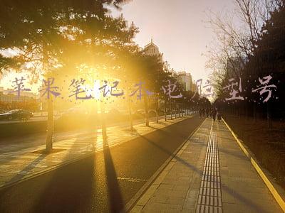 苹果笔记本电脑型号