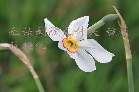 无法删除文件夹被另一个程序使用(电脑技巧：解决“文件已在另一程序打开，无法删除”的问题)