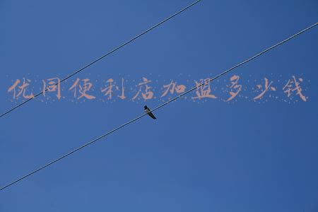 优同便利店加盟多少钱