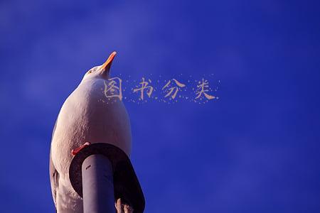图书分类