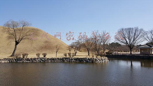 无线网密码怎么改