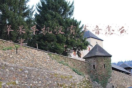 苹果手机没有声音怎么回事
