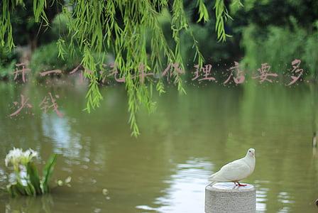 开一个汽车修理店要多少钱