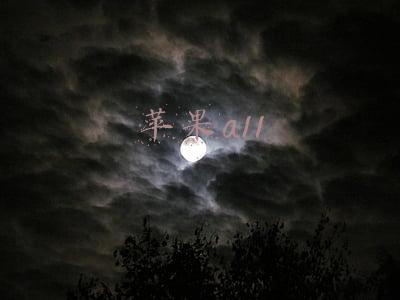 苹果a11